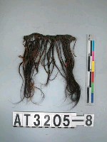 藏品(毛髮編飾)的圖片